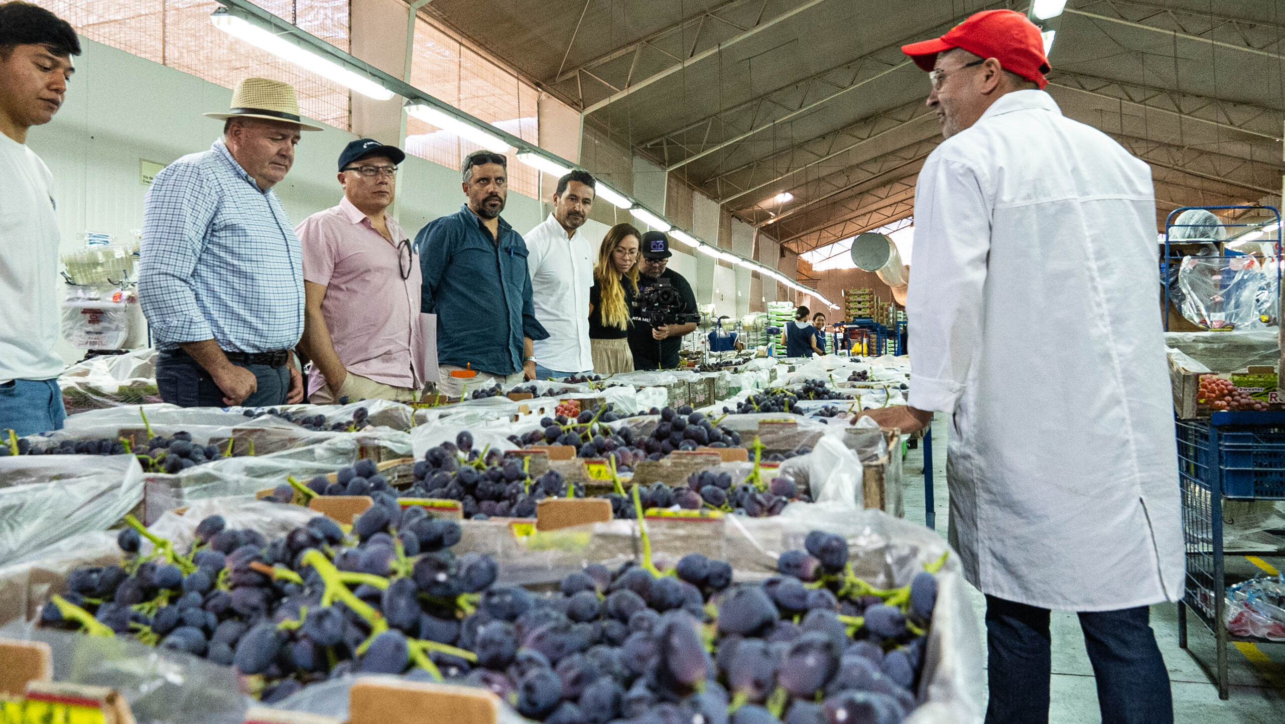 Regi N Coquimbo Empresarios Agr Colas De Vicu A Realizan Proyecto Que